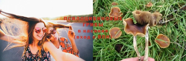 кокаин Алзамай