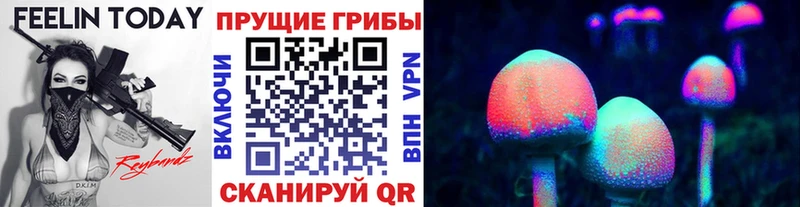 хочу наркоту Циолковский Галлюциногенные грибы Psilocybine cubensis